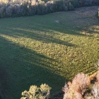 333.5 Acres in Holmes County in Lexington MS images 2