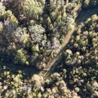 333.5 Acres in Holmes County in Lexington MS images 3