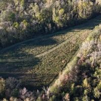 333.5 Acres in Holmes County in Lexington MS images 5