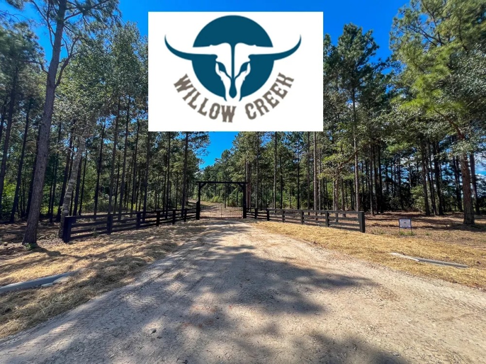 350 Acres Willow Creek FM 3179 featured image