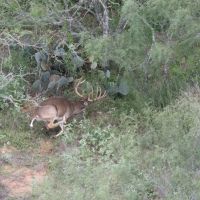 Crestonio Ranch images 3