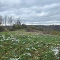 117 Acres of Prime Rural Land in Ohio County Indiana images 4