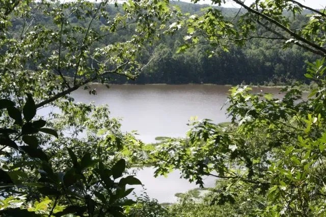 Bugs Lake East Merge Tract featured image