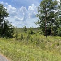 Bugs Lake East Merge Tract images 2