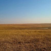 160 - Acres of Grassland in Lincoln County NE