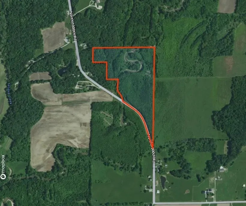 32 acres in Effingham County featured image