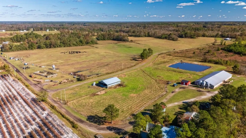 Turnkey Nursery Swine Farm with extensive -230 acres of Multi-Use Land for Sale in Duplin County NC featured image