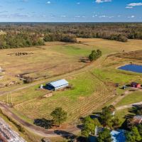 Turnkey Nursery Swine Farm with extensive -230 acres of Multi-Use Land for Sale in Duplin County NC