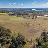 Turnkey Nursery Swine Farm with extensive -230 acres of Multi-Use Land for Sale in Duplin County NC images 2