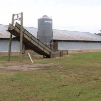 Turnkey Nursery Swine Farm with extensive -230 acres of Multi-Use Land for Sale in Duplin County NC images 5