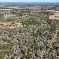 TBD40 Bateman Rd Red Rock TX 78662 images 4