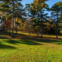 7 - Acres Nice Mobile Home Cottage Outbuildings Concord Arkansas images 2