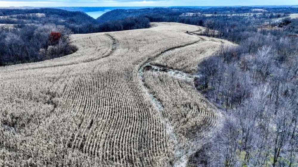 52 - Acre Property Located on Lucky Lane in Crawford County WI featured image