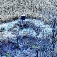 52 - Acre Property Located on Lucky Lane in Crawford County WI images 5