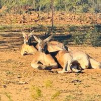 Buck Canyon Ranch images 5