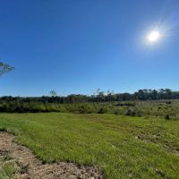 46 Acres in Winston County MS images 3