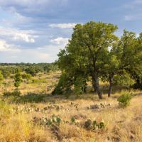 Brindley Ranch images 4