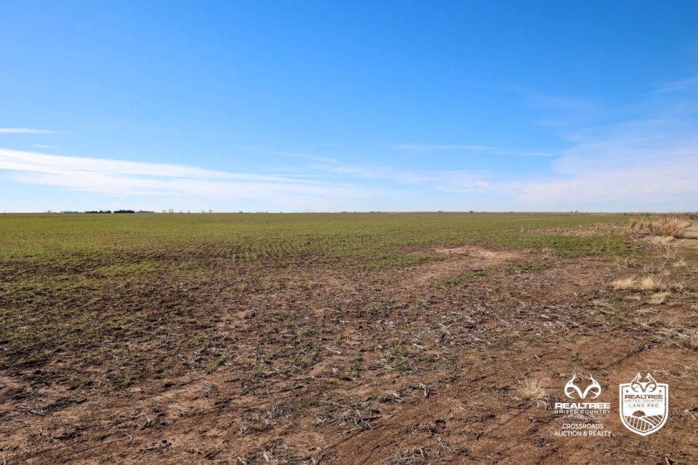Kansas Farmland and Pasture Land Auction in Sumner County featured image