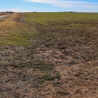 Kansas Farmland and Pasture Land Auction in Sumner County images 3