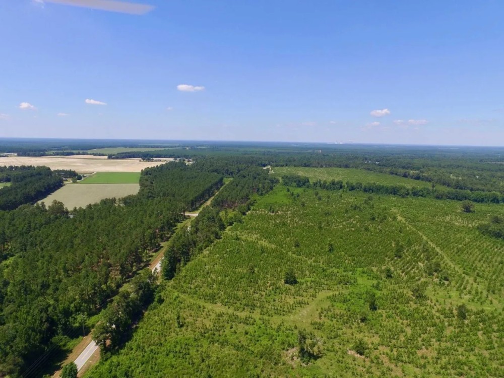 Hunters and Investor Paradise in Burke County GA featured image