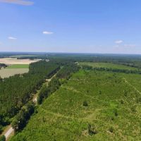 Hunters and Investor Paradise in Burke County GA