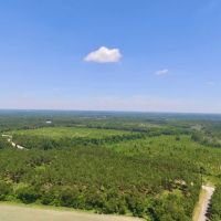 Hunters and Investor Paradise in Burke County GA images 2