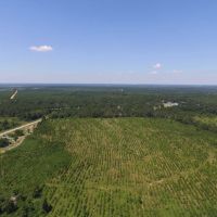 Hunters and Investor Paradise in Burke County GA images 3