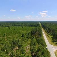 Hunters and Investor Paradise in Burke County GA images 4
