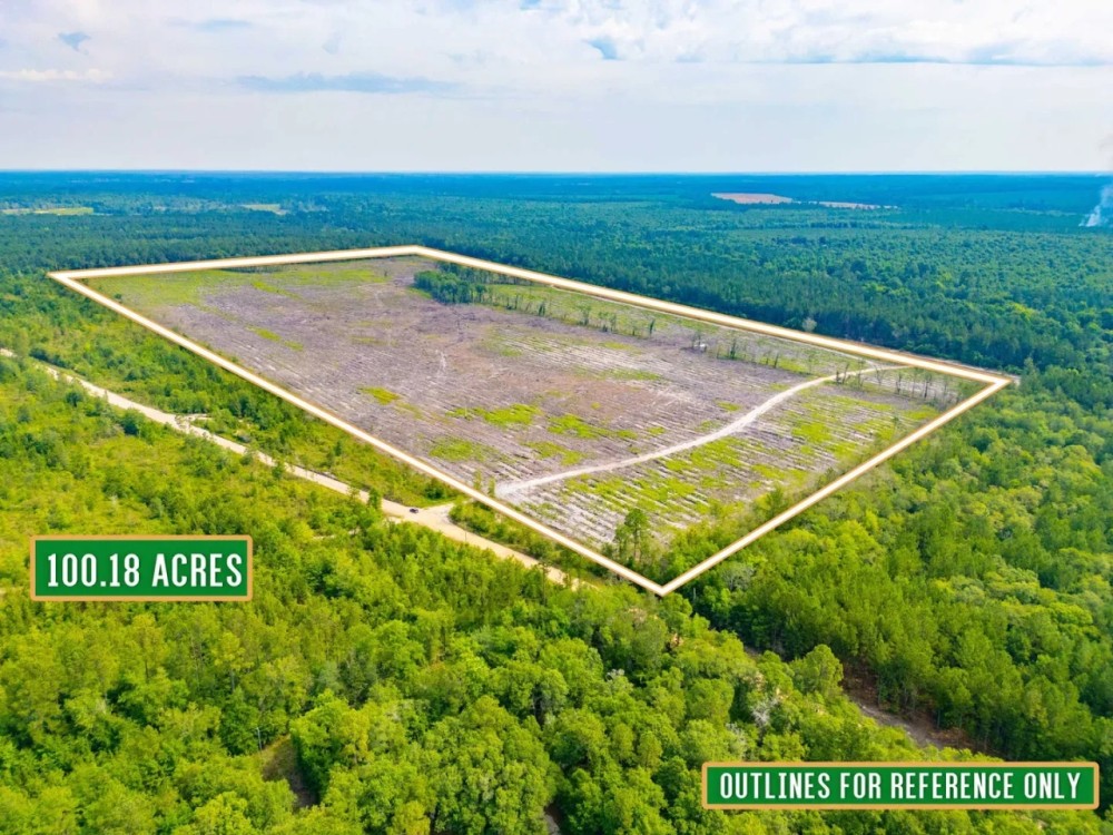 Scotland Rd Hunting and Investment tract featured image