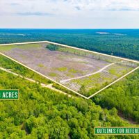 Scotland Rd Hunting and Investment tract