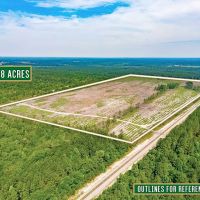 Scotland Rd Hunting and Investment tract images 5