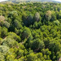 Land For Sale in Missouri images 2