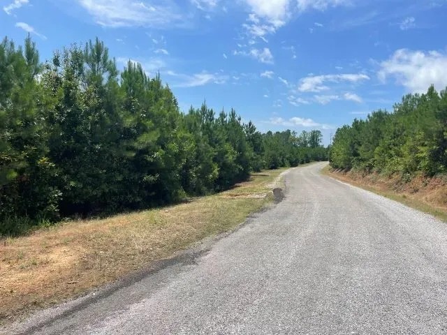 White Springs Tract featured image