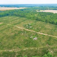 Prime Land for Home Hunting and Investment images 3