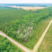 Prime Land for Home Hunting and Investment images 5