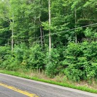 8.9 acres Across from the Tioughnioga River in Barker NY 7338 NY-79