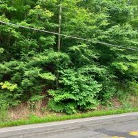 8.9 acres Across from the Tioughnioga River in Barker NY 7338 NY-79 images 2