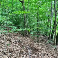 8.9 acres Across from the Tioughnioga River in Barker NY 7338 NY-79 images 3