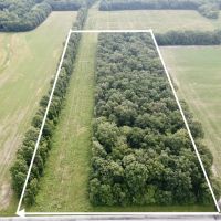 000 Pheasant Rd Xenia IL 62899