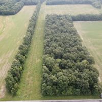 000 Pheasant Rd Xenia IL 62899 images 2