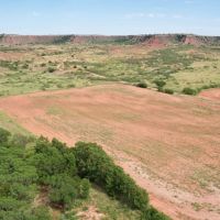 Auction 9 26 at 10am 1419 Acres Cropland Pasture Offered in tracts images 4