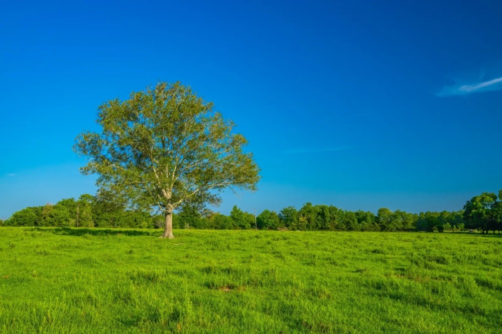 312 T Ranch featured image