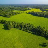 312 T Ranch images 2