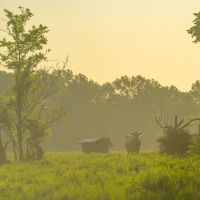 312 T Ranch images 3