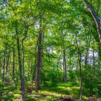 312 T Ranch images 4