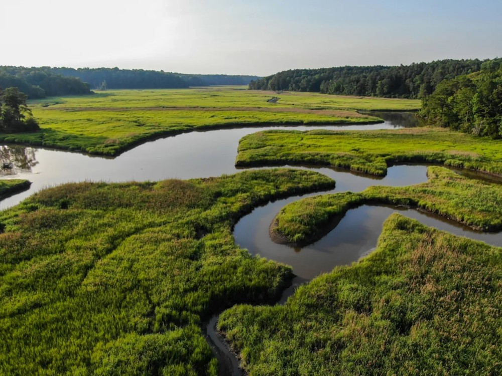 Preserve Tract featured image