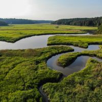 Preserve Tract
