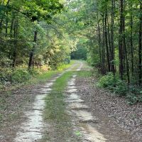 Preserve Tract images 4