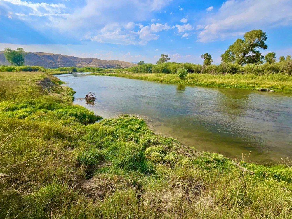 Blissful Beaverhead River Frontage featured image