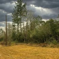 11 Acres A7 FM 2937 images 2